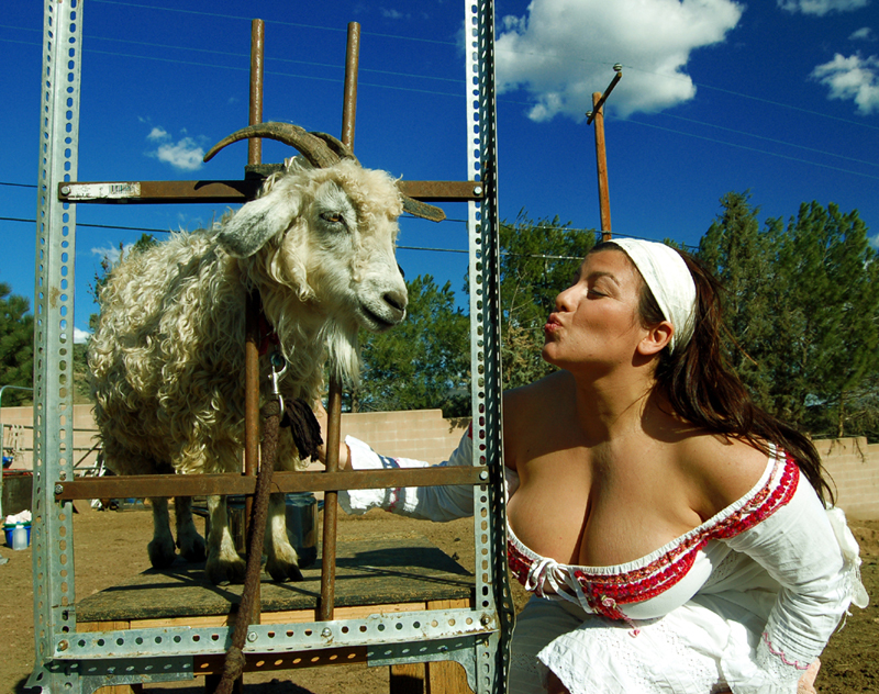 Goat 1 Goat 1