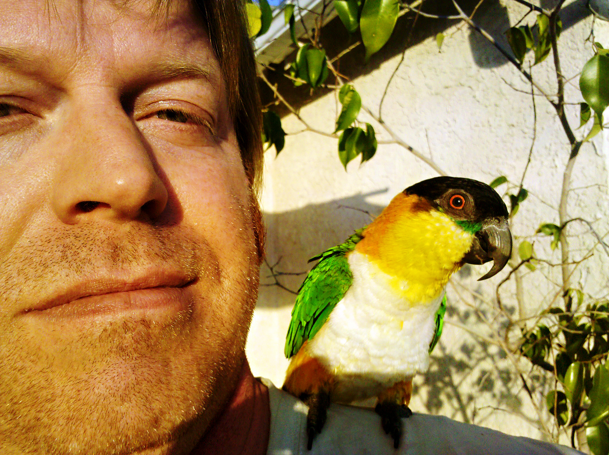 Eddie on shoulder-2000x