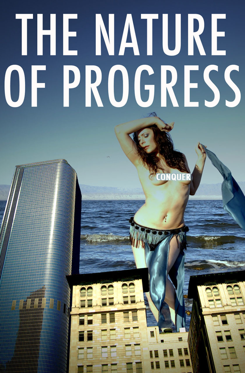 film poster nature of progress