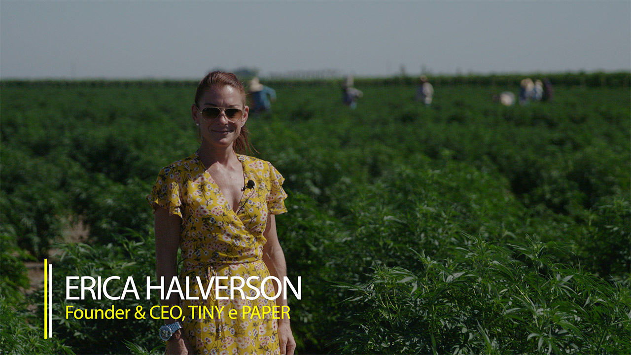 woman stands in hemp field in video series Hemp Already